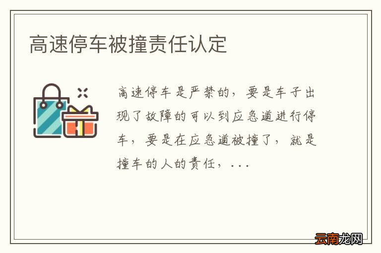高速停车被撞责任认定