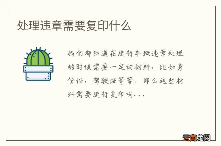 处理违章需要复印什么