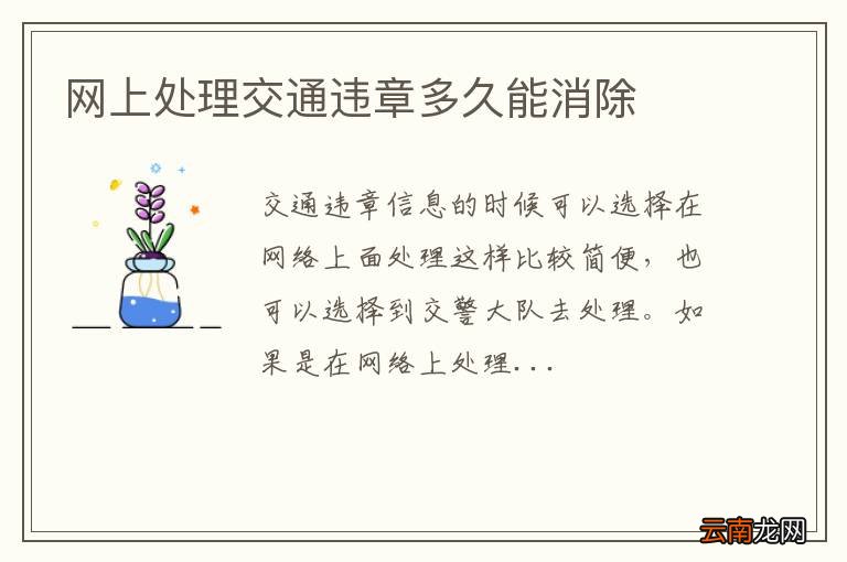 网上处理交通违章多久能消除