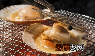 辣炒美味扇贝的做法 辣炒美味扇贝怎么做