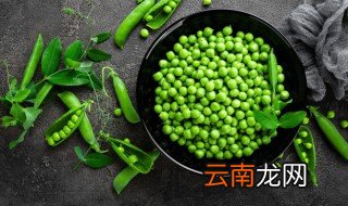 豌豆芽怎么做好吃的汤 怎样做豌豆芽汤
