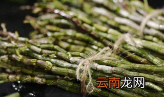 石斛的正确吃法大全 石斛的正确吃法介绍