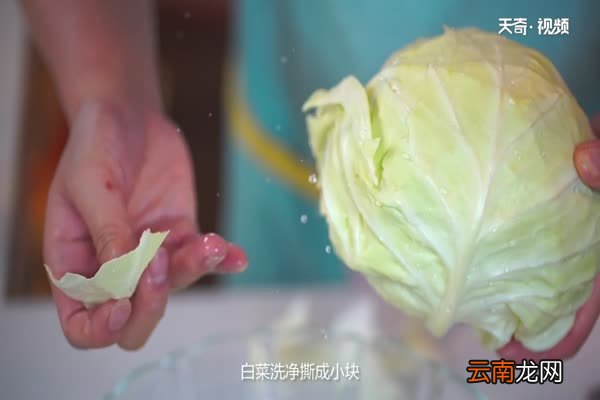 包菜怎么做好吃 包菜的做法