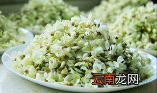新鲜槐花怎么保存 新鲜槐花保存方法