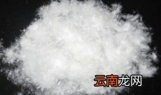 白鸭绒和灰鸭绒哪种保暖效果好 关于白鸭绒和灰鸭绒哪种保暖效果好