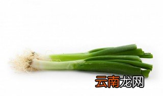 山东大葱如何种植 山东大葱的种植方法