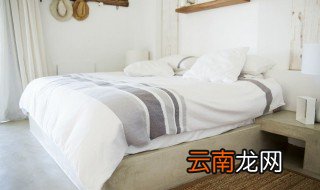 棉花属于单子叶植物的一种吗 棉花属不属于单子叶植物的一种