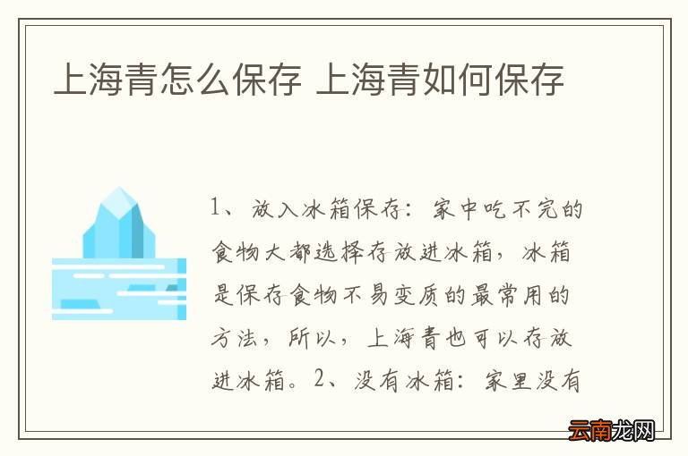 上海青怎么保存 上海青如何保存