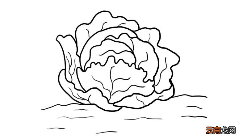 包包白简笔画怎么画