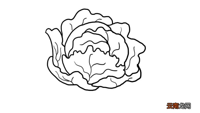 包包白简笔画怎么画