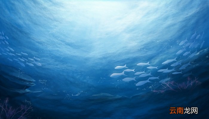 最长的海峡是什么海峡 世上最长的海峡是什么海峡