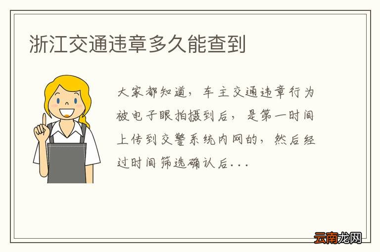 浙江交通违章多久能查到