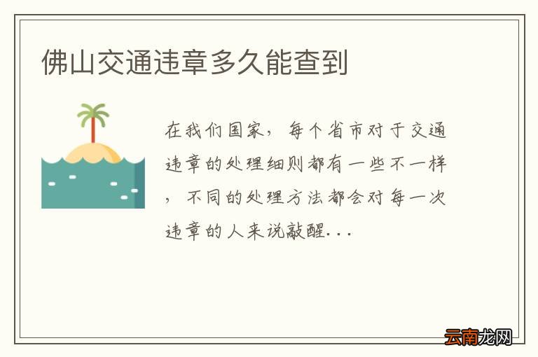 佛山交通违章多久能查到