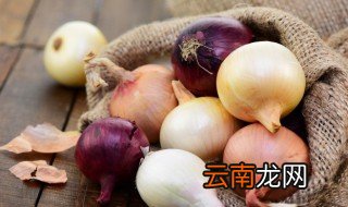 洋葱的家常做法 洋葱的烹饪方法