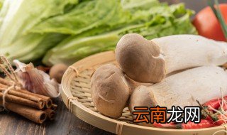 凉拌杏鲍菇怎么做好吃简单做法 凉拌杏鲍菇好吃简单做法