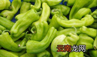 如何煎出好吃的青椒火腿串 青椒火腿串串的做法