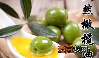 杏仁油和橄榄油的区别 你知道吗