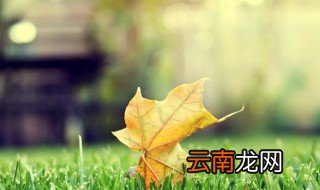 清晨正能量的激励语早安 清晨正能量的早安语
