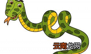 蛇入屋是吉是凶 蛇入屋预示什么