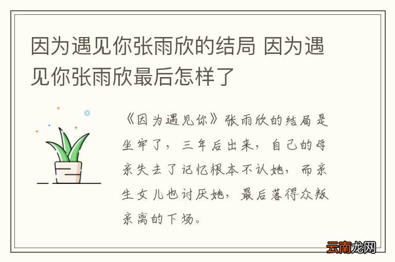 因为遇见你张雨欣的结局 因为遇见你张雨欣最后怎样了