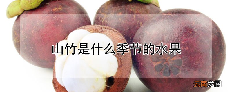 山竹是什么季节的水果