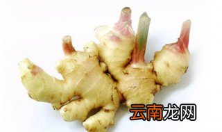 生姜种植深度 这样种植姜高产