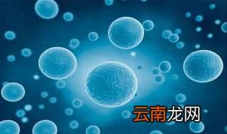 月麻亚酸是什么 关于它的简介