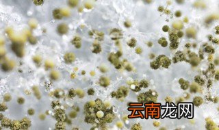 霉菌性阴炎栓剂怎么使用 霉菌性阴炎栓剂使用方法