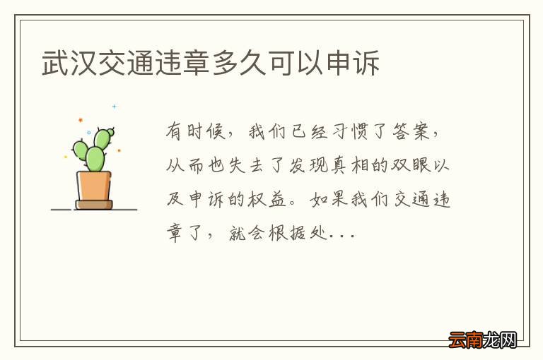 武汉交通违章多久可以申诉