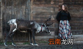 人与自然相处时应遵循的基本原则是什么