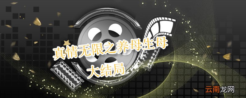 真情无限之养母生母大结局 真情无限之养母生母剧情介绍