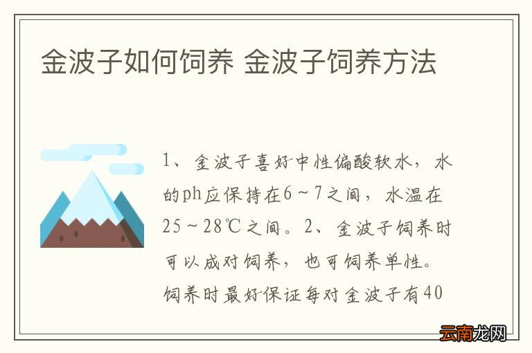 金波子如何饲养 金波子饲养方法