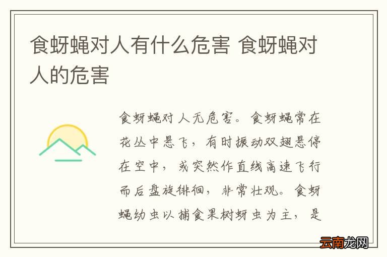 食蚜蝇对人有什么危害 食蚜蝇对人的危害