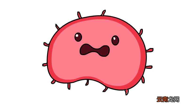 怎么画病毒简笔画