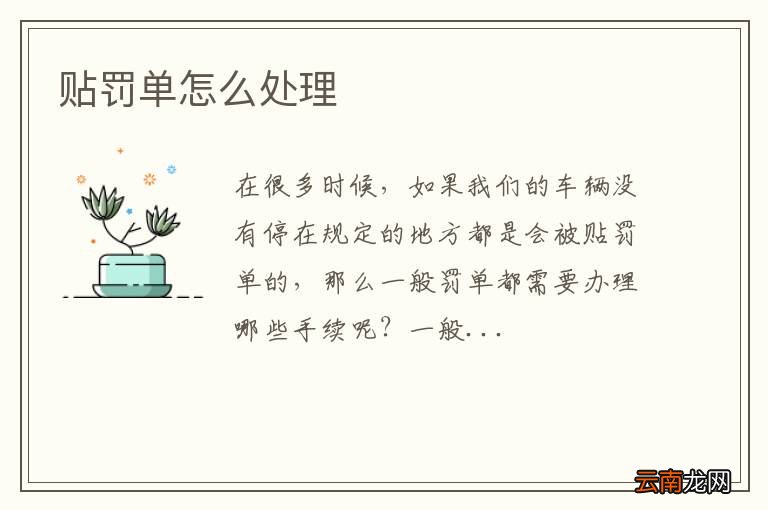 贴罚单怎么处理