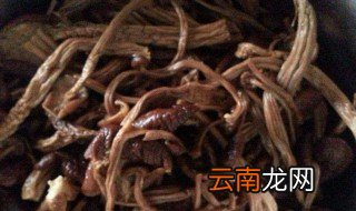 茶树菇怎么泡 茶树菇泡发技巧详解