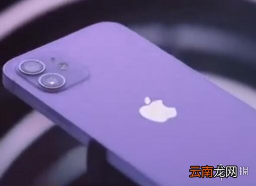 iphone12紫色多大尺寸 iPhone12紫色尺寸