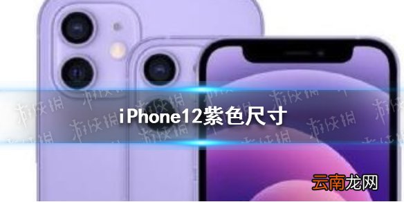 iphone12紫色多大尺寸 iPhone12紫色尺寸