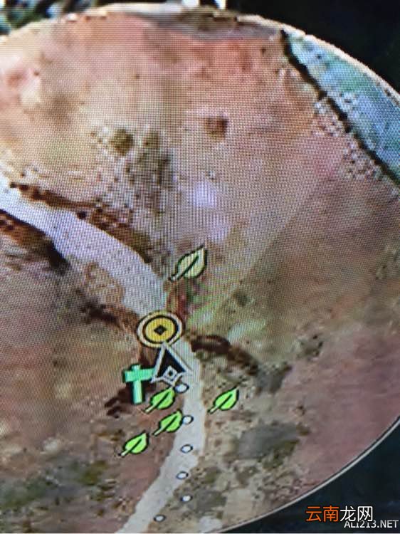 《巫师3：狂猎》不打怪刷经验方法分享