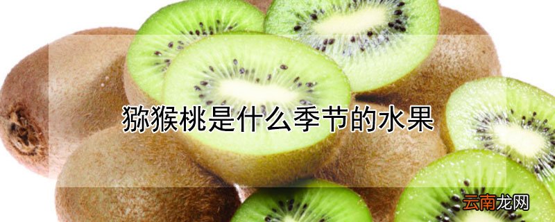猕猴桃是什么季节的水果