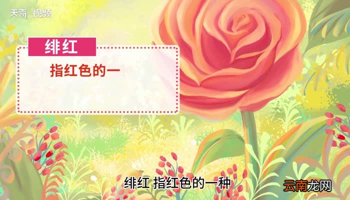 绯红的意思 绯红的意思是什么