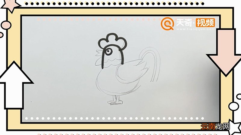 生肖鸡简笔画