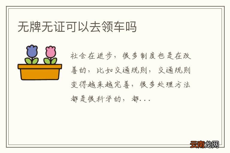 无牌无证可以去领车吗