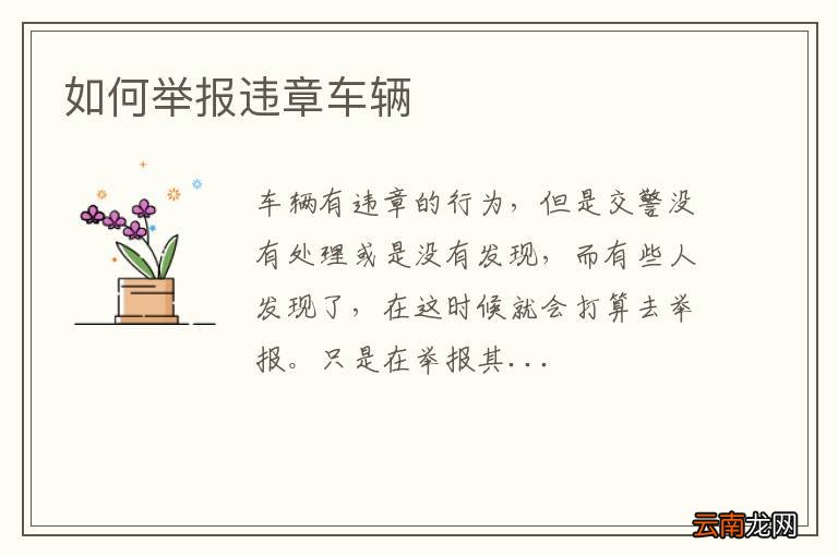 如何举报违章车辆