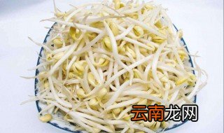发黄豆芽窍门 发黄豆芽的诀窍
