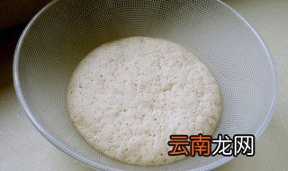 隔夜发面做包子的方法 什么面才可以隔夜