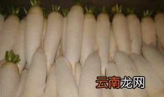 白萝卜保存方法 一般有哪些