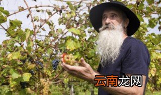 怎么样才能胡子长的慢 教你如何让胡子长的慢