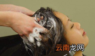 头发的保养以及正确的洗头方式 这样洗头可以保养你的发质