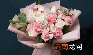 玫瑰花的最佳搭配 玫瑰花的最佳搭配方法